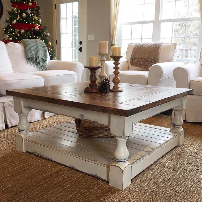 Coffee table tray decor ideas