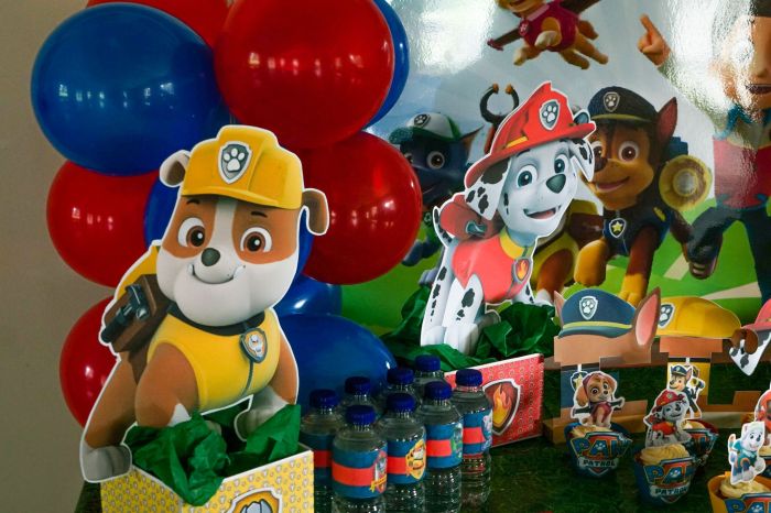 Paw patrol birthday decoration