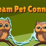 Dream Pet Connect